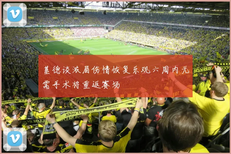 基德谈浓眉伤情恢复乐观六周内无需手术将重返赛场