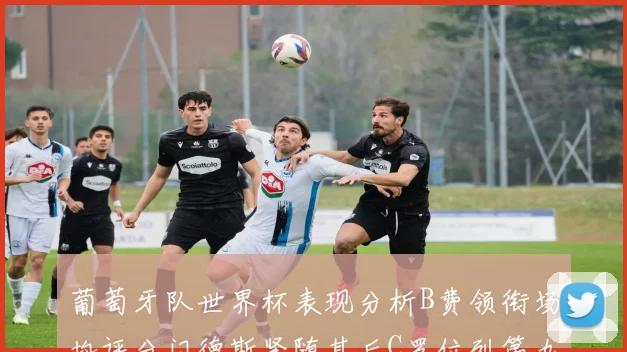 葡萄牙队世界杯表现分析B费领衔场均评分门德斯紧随其后C罗位列第九